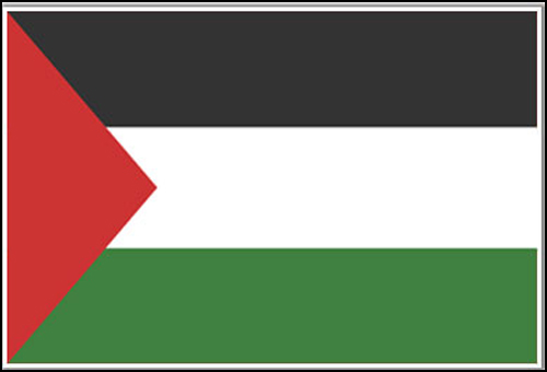 Palestine Flag