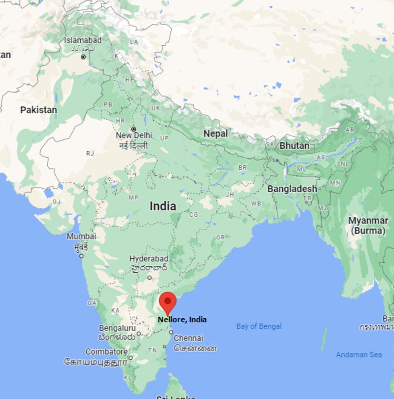 Where is Nellore, India