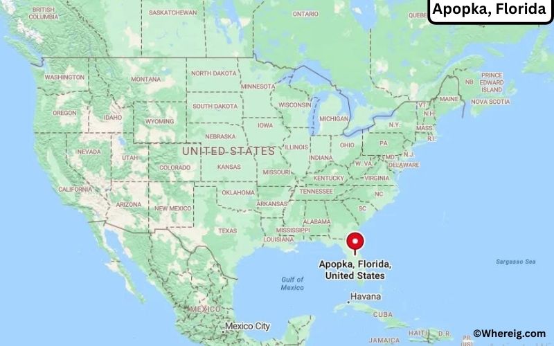 Where is Apopka, Florida