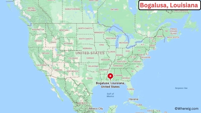 Where is Bogalusa Located in Washington County, Louisiana