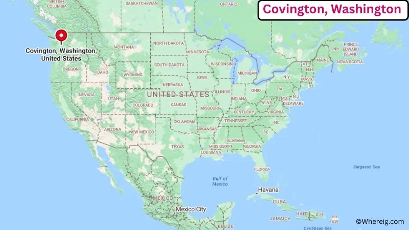 Where is Covington Located in Newton County, Georgia