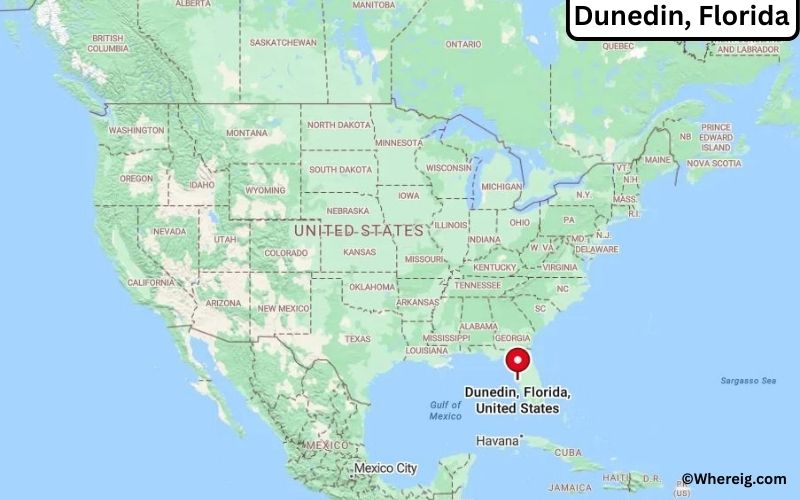 Where is Dunedin, Florida