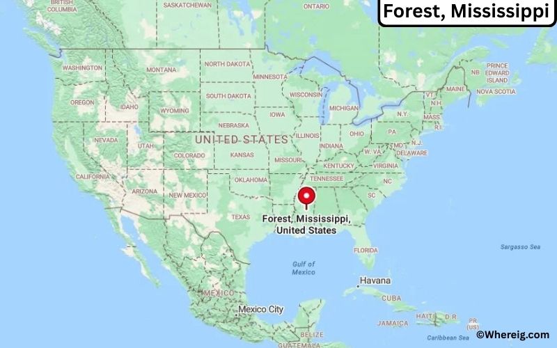 Where is Forest, Mississippi