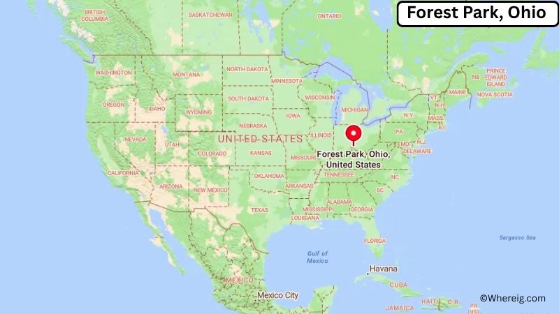 Where is Forest Park Located in Clayton County, Georgia