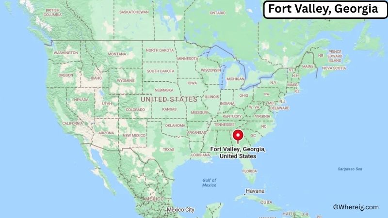 Where is Fort Valley Located in Peach County, Georgia
