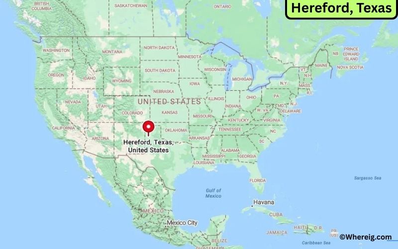 Where is Hereford, Texas