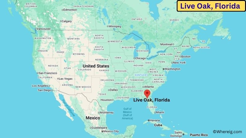 Where is Live Oak Located in Suwannee County, Florida