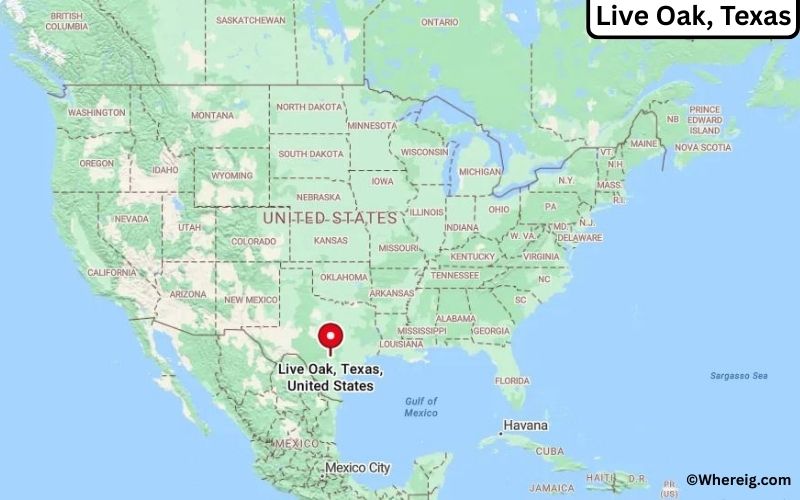 Where is Live Oak, Texas