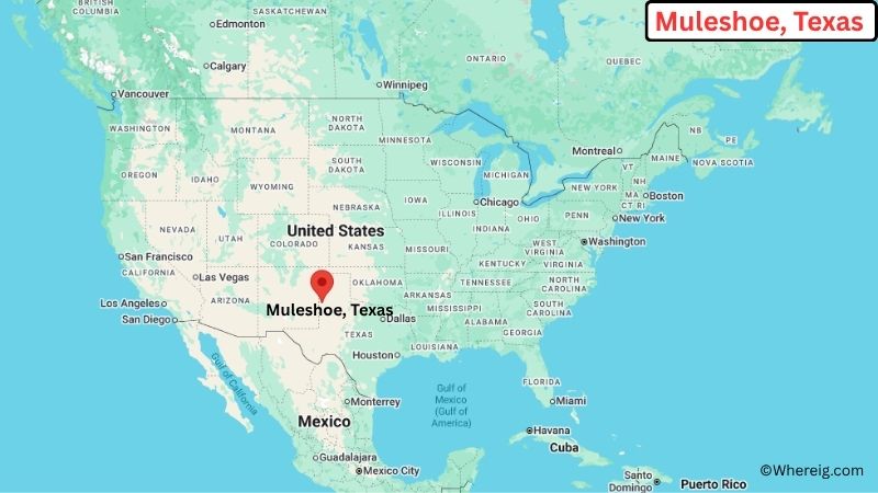 Where is Muleshoe Located in Bailey County, Texas