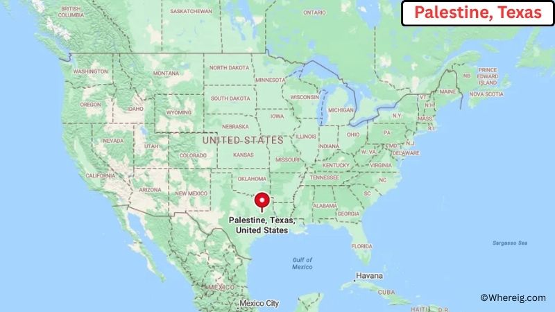 Where is Palestine Located in Anderson County, Texas