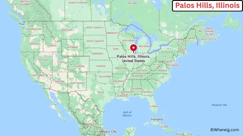 Where is Palos Hills Located in Cook County, Illinois