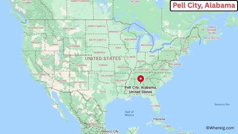 Where is Pell City Located in St. Clair County, Alabama