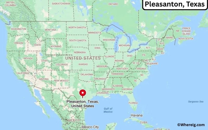 Where is Pleasanton, Texas