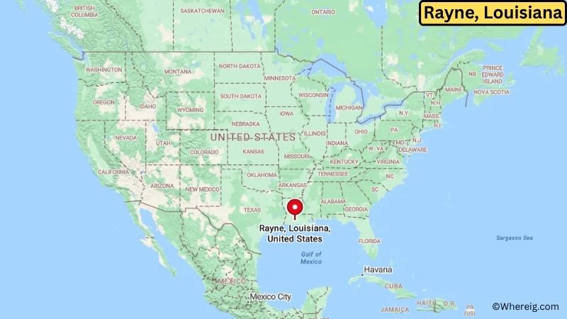 Where is Rayne Located in Acadia Parish, Louisiana