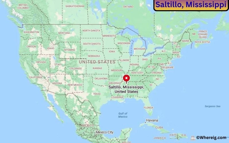 Where is Saltillo, Mississippi