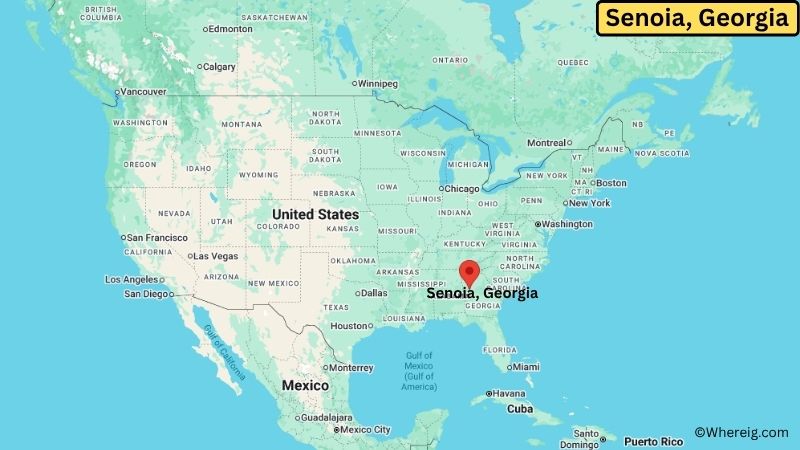 Where is Senoia Located in Coweta County, Georgia