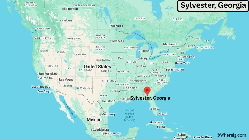 Where is Sylvester Located in Worth County, Georgia
