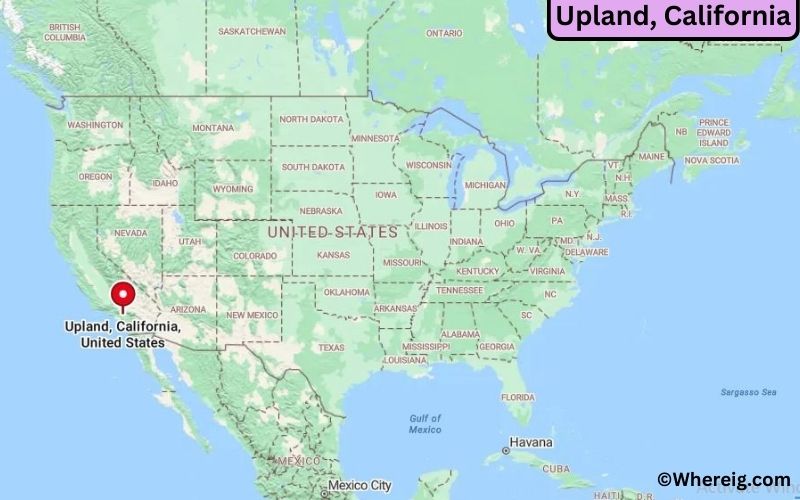 Where is Upland Located in San Bernardino, California