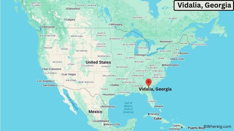 Where is Vidalia Located in Montgomery County, Georgia