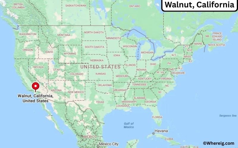 Where is Walnut Located in Los Angeles, California