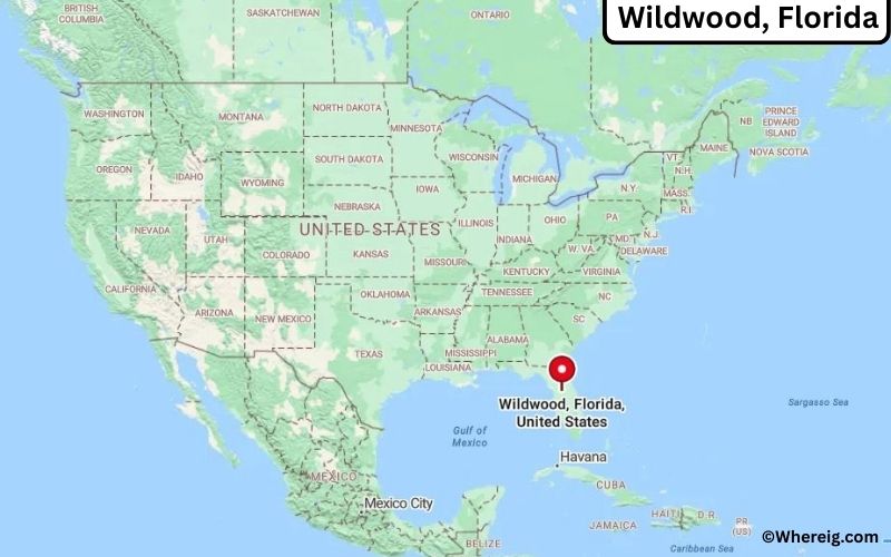 Where is Wildwood, Florida