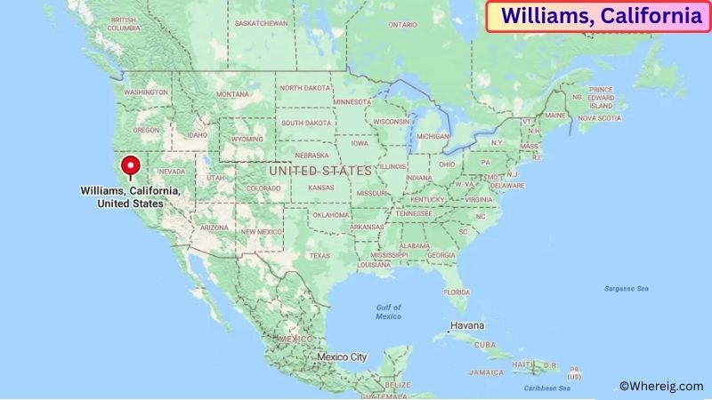 Where is Williams Located in Colusa County, California