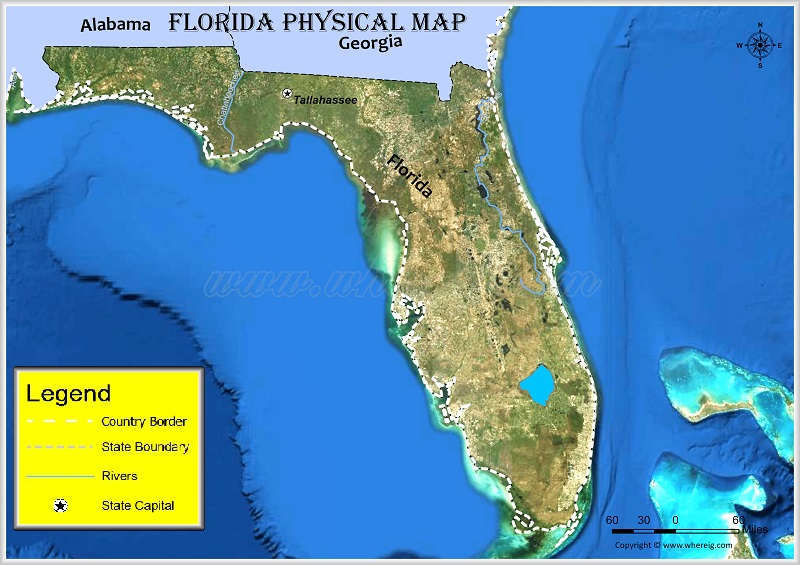 Florida Physical Map