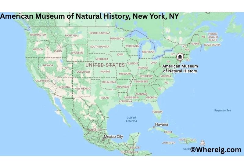 Where is American Museum of Natural History Located in New York, NY Where is American Museum of Natural History Located in New York, NY