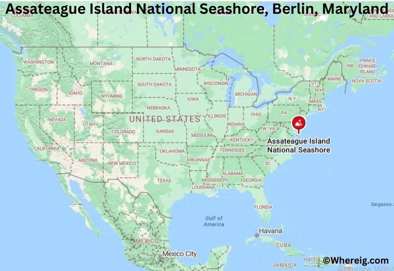 Where is Assateague Island National Seashore Located in Berlin, Maryland Where is Assateague Island National Seashore Located in Berlin, Maryland