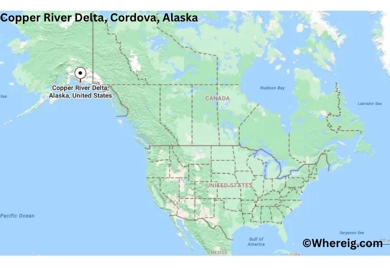 Where is Copper River Delta Located inCordova, Alaska