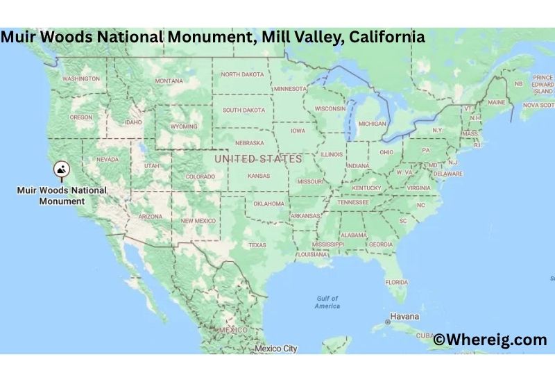 Where is Muir Woods National Monument Located inMill Valley, California Where is Muir Woods National Monument Located inMill Valley, California