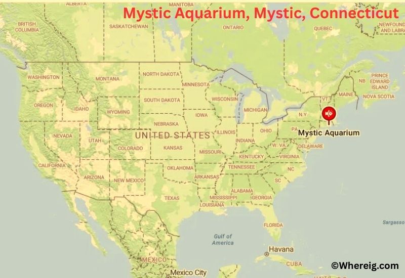 Where is Mystic Aquarium Located in Mystic, Connecticut Where is Mystic Aquarium Located in Mystic, Connecticut