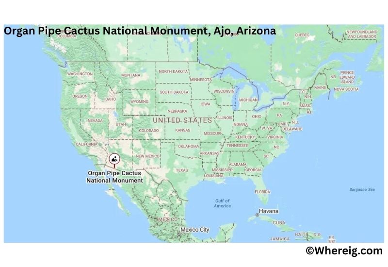 Where is Organ Pipe Cactus National Monument Located inAjo, Arizona Where is Organ Pipe Cactus National Monument Located inAjo, Arizona