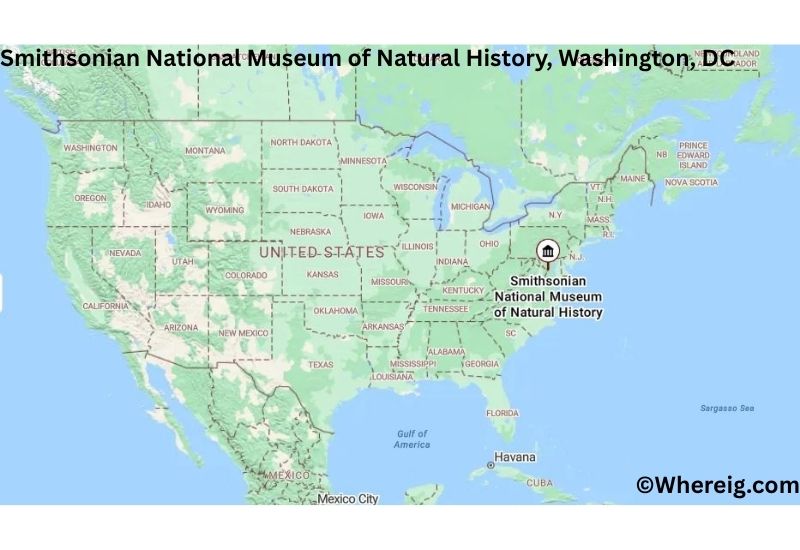 Where is Smithsonian National Museum of Natural History Located in Washington, District of Columbia