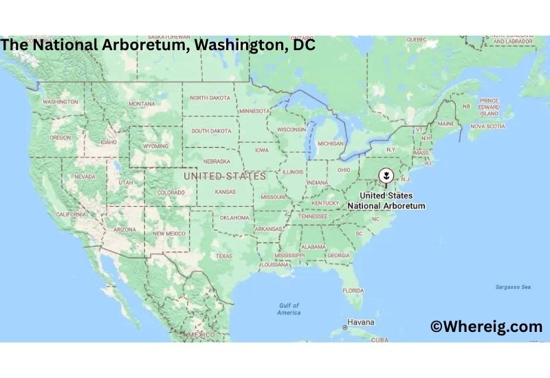 Where is The National Arboretum Located inWashington, District of Columbia