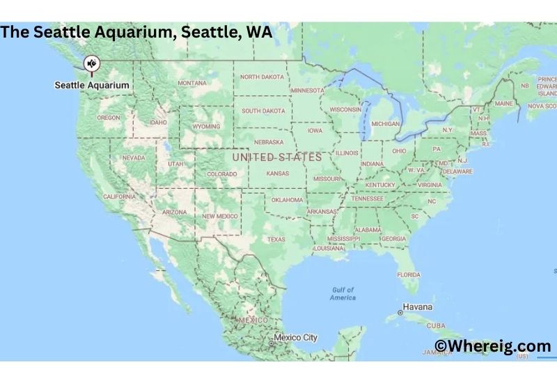 Where is The Seattle Aquarium Located inSeattle, Washington Where is The Seattle Aquarium Located inSeattle, Washington