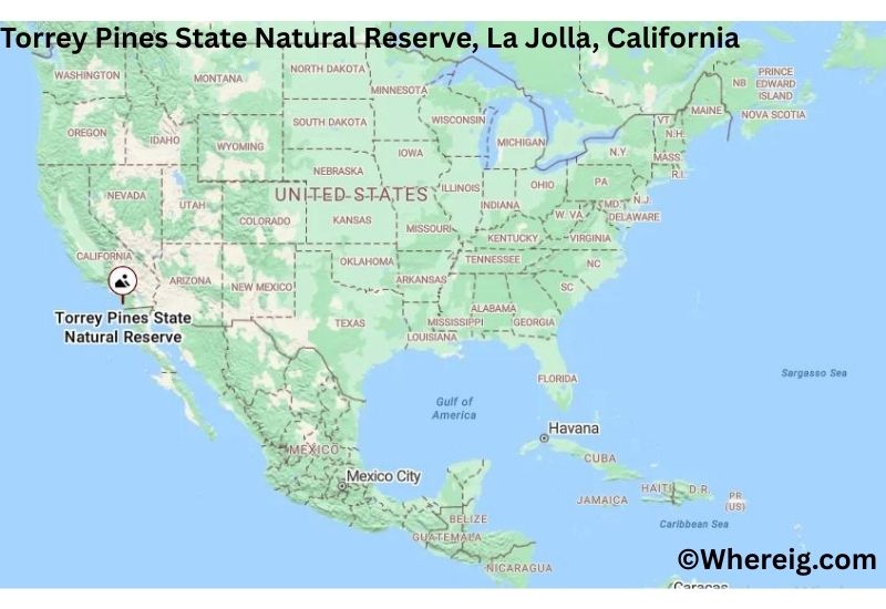 Where is Torrey Pines State Natural Reserve Located in La Jolla, California Where is Torrey Pines State Natural Reserve Located in La Jolla, California