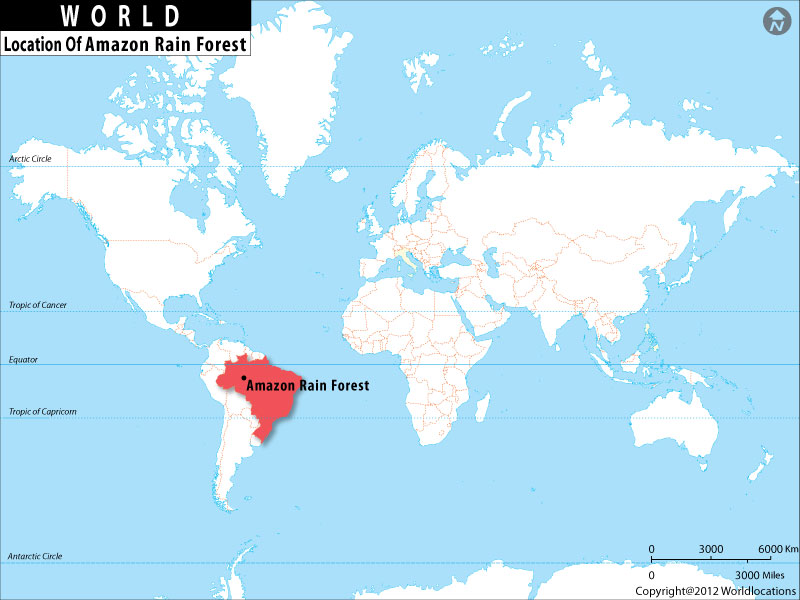 amazon river world map Where Is Amazon Rainforest Located Amazon Rainforest Brazil In amazon river world map